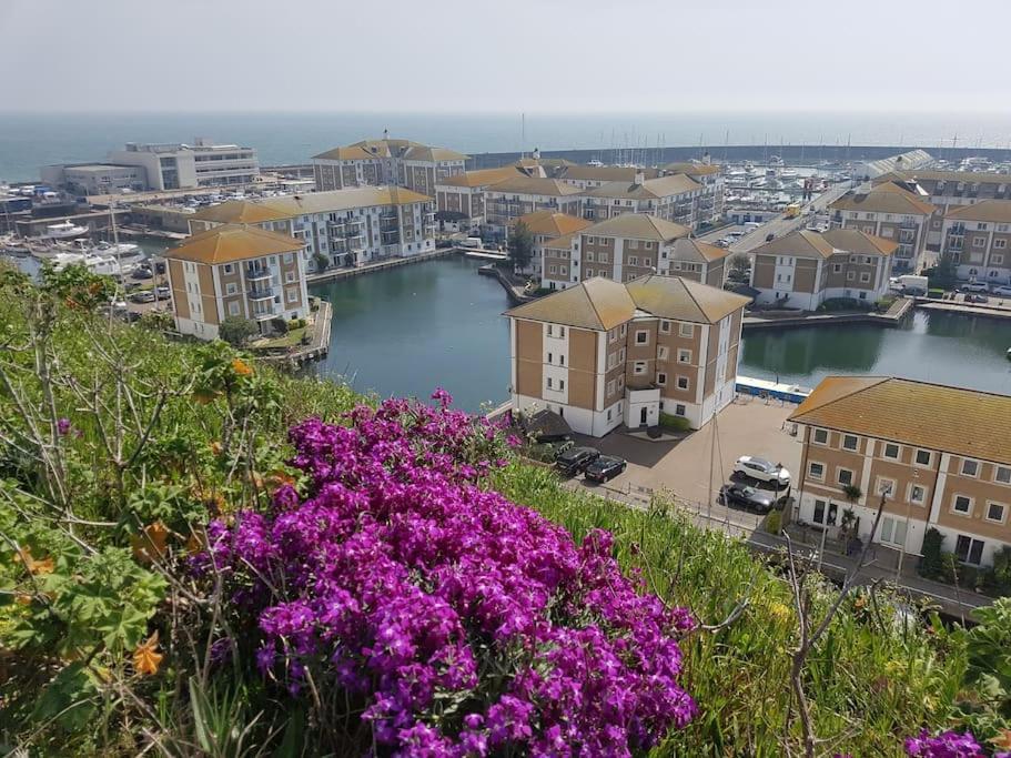 Brighton Abode Studio I Great Neighbourhood! Eksteriør bilde